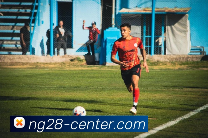 南宫28集团平台生态图